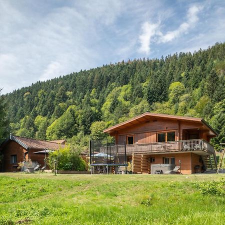 Chalets Du Bouchot & Jacuzzi Privatif Proximite Gerardmer & La Bresse Rochesson Exterior photo